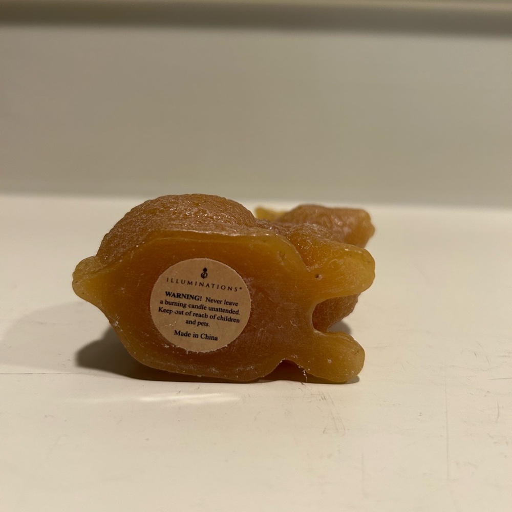 Illuminations Honey Bunny Candle Set - Picture 9 of 13